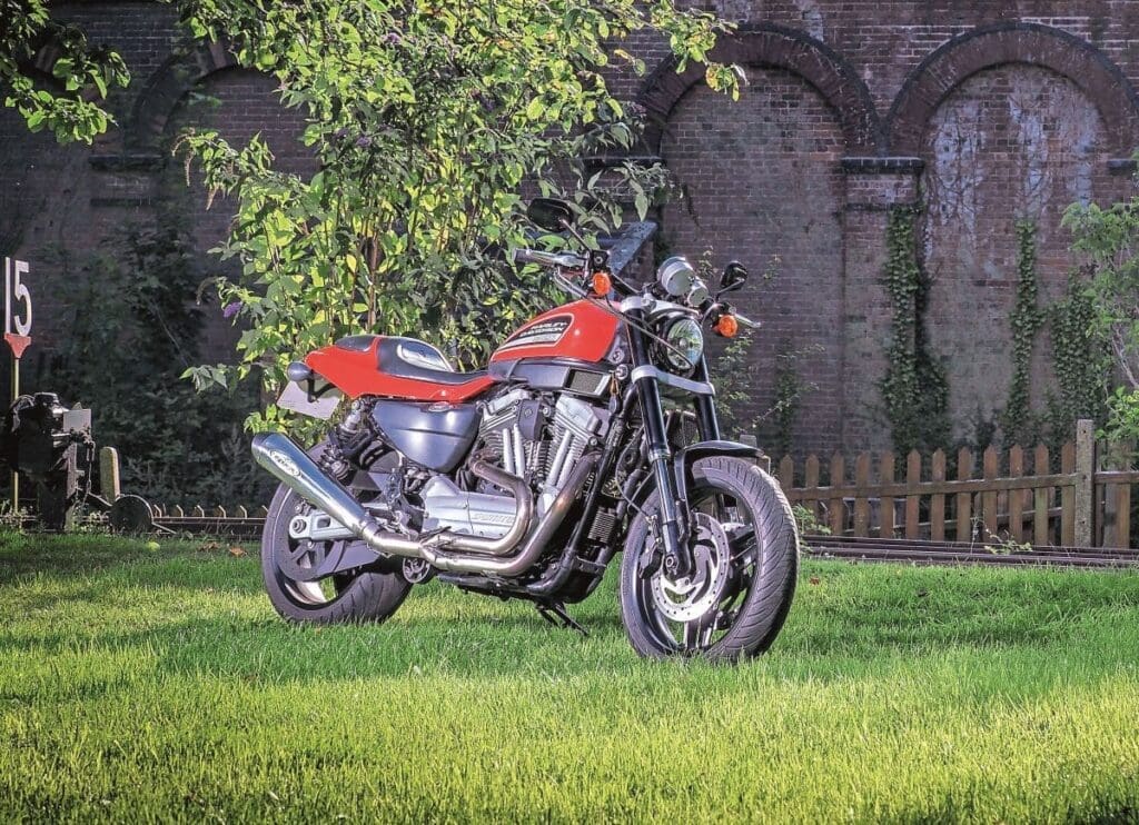 Maria's Harley-Davidson XR1200 parked in front of greenery