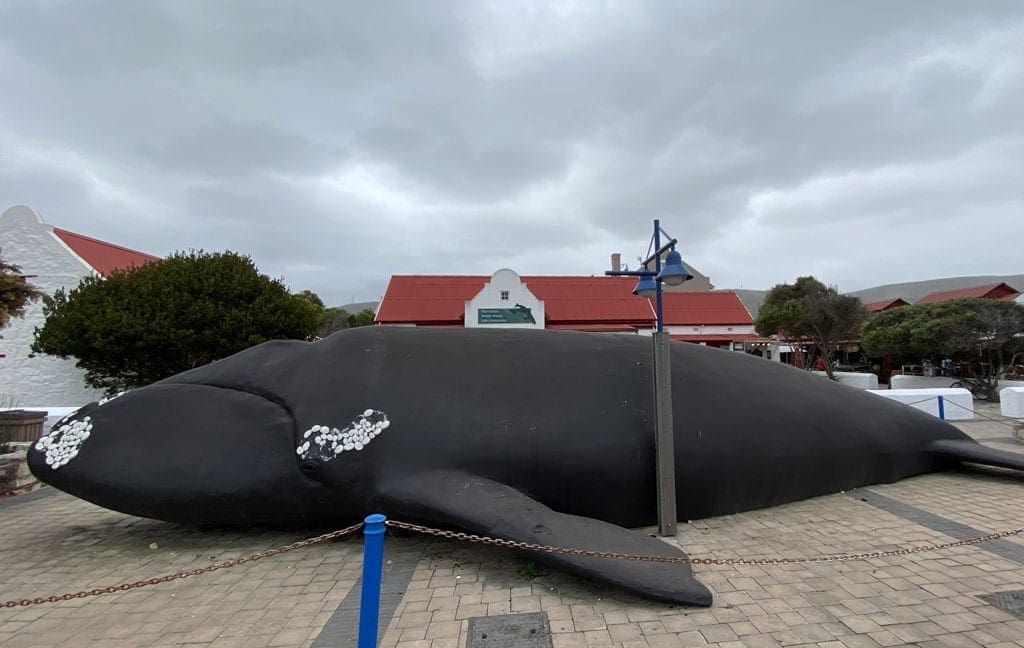 A large whale sculpture. 