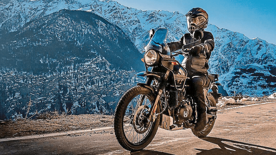 Big Himalayan on the way – but there’s a wait…