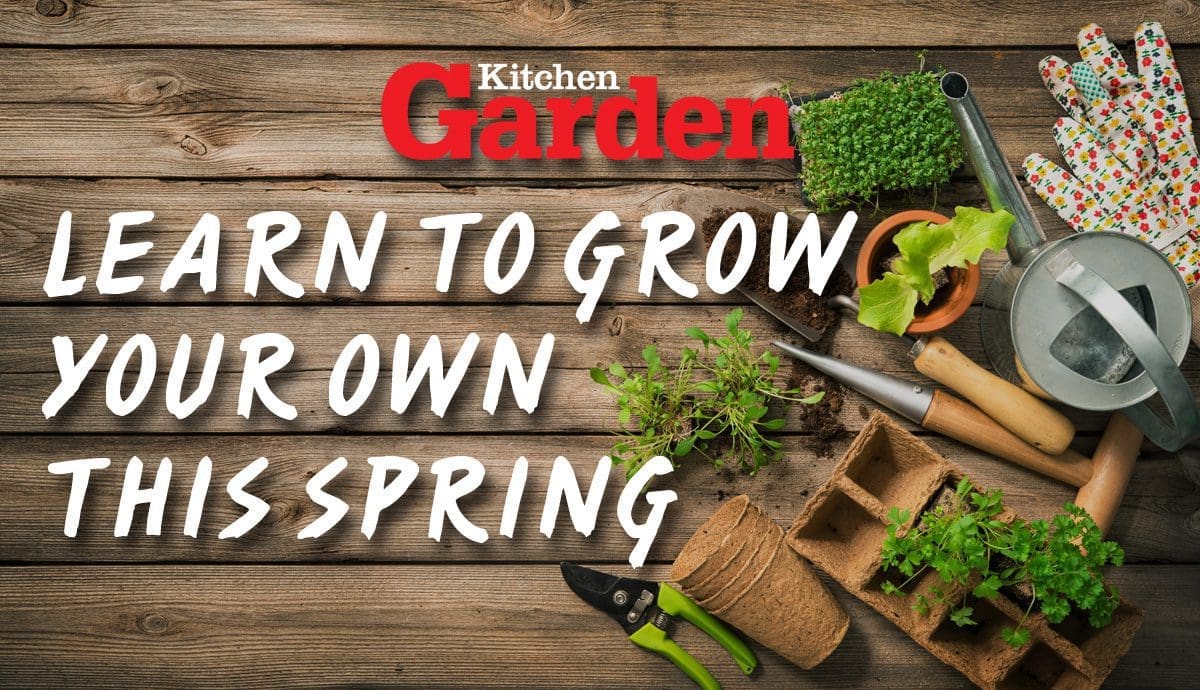 Learn to grow your own veg with help from Kitchen Garden magazine
