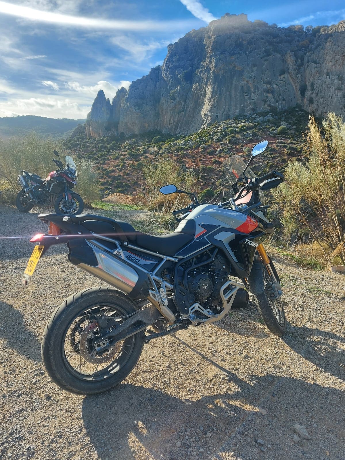 Triumph Tiger 900 GT and Rally Pro