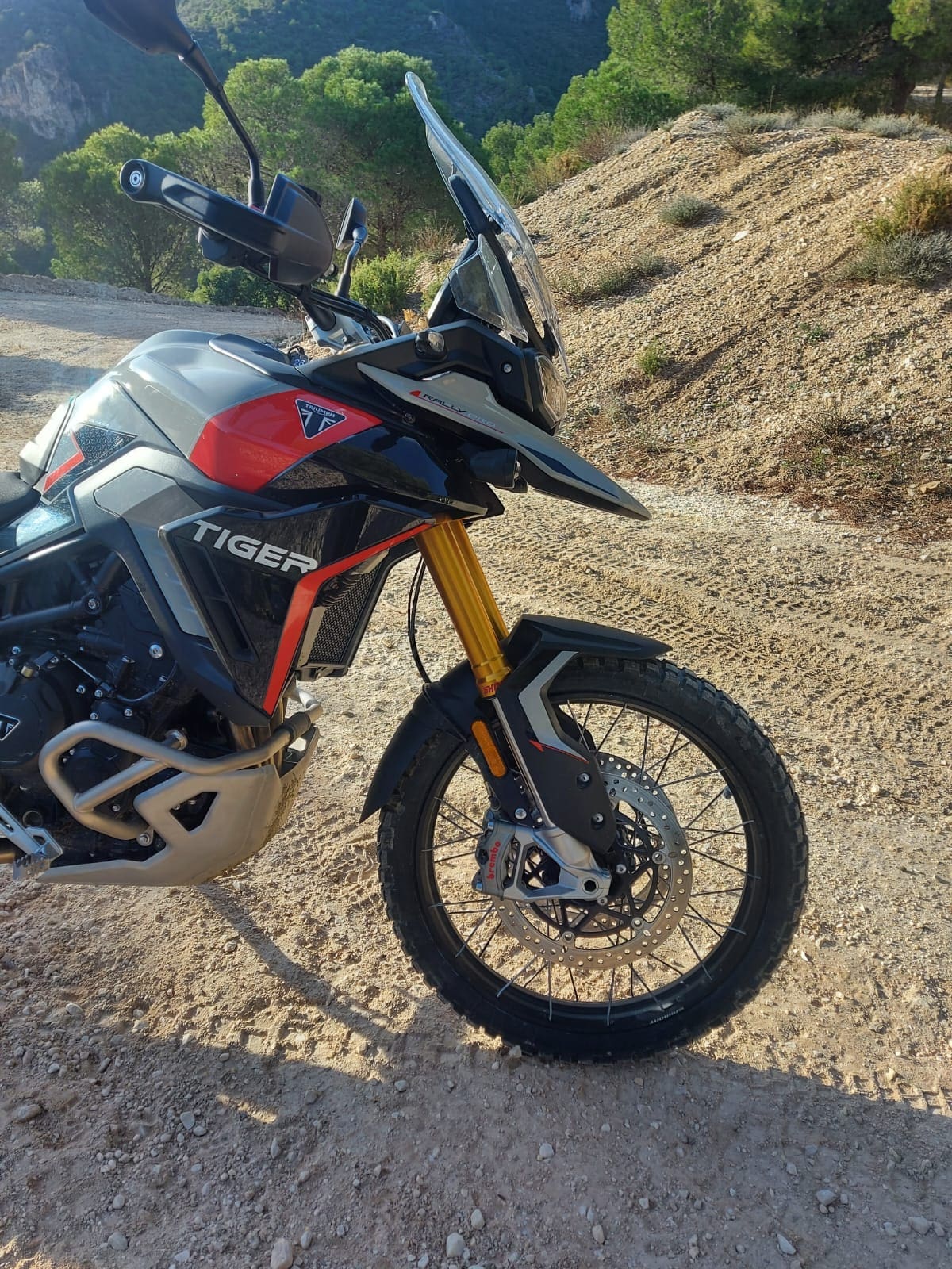 Triumph Tiger 900 GT and Rally Pro