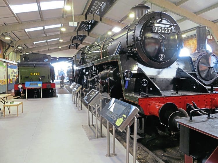 Bluebell Railway Locomotives - LBSCR E4 Birch Grove