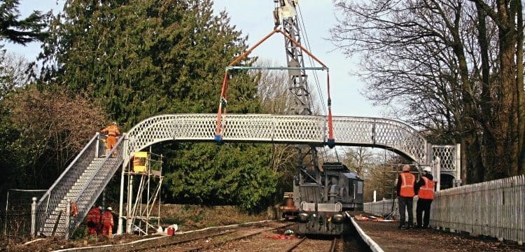 Joggers save restored Dean Forest footbridge after arson