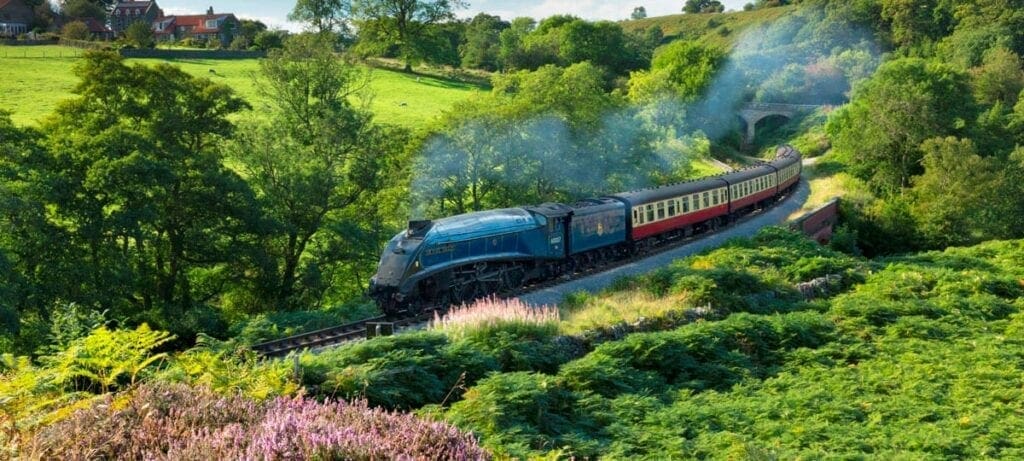 Dewley Hill refusals turns heritage railways to imported coal