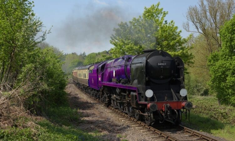 Vote to rename ‘purple loco’ for Queen’s jubilee