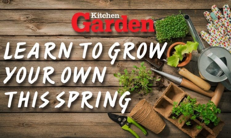 Learn how to grow your own food with help from Kitchen Garden magazine