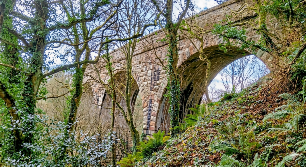 The latest addition to the heritage sector’s major infrastructure portfolio: the Cober, or Lowertown, Viaduct on the Helston branch.