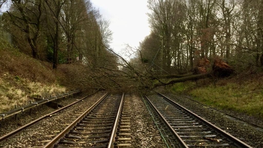 A fallen tree blocking all lines on a rail track.