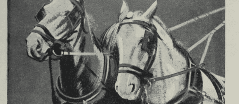 June 1940: 11,000 railway horses