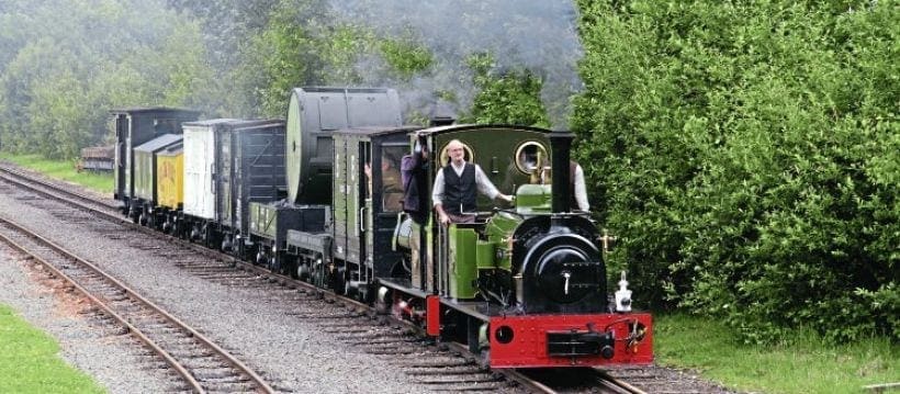 Sixteen in steam for Statfold June open day