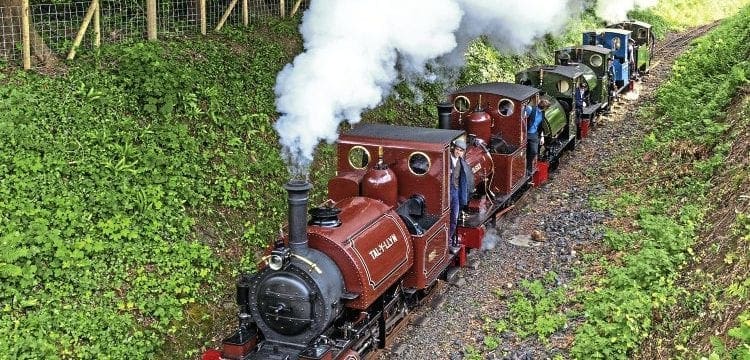Everything and anything  goes at Talyllyn event