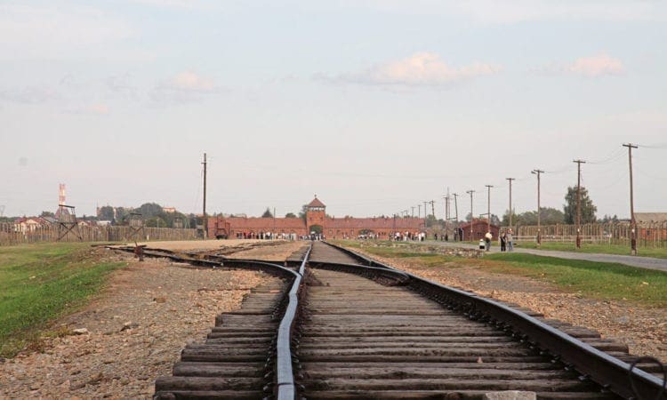 Holocaust Memorial Day: 75 years since liberation of Auschwitz camp