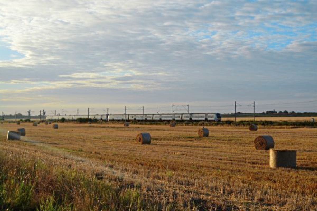 Must-do activities for a special rail  experience