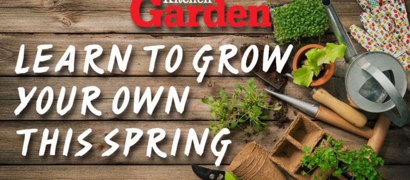 Learn how to grow your own food with help from Kitchen Garden magazine