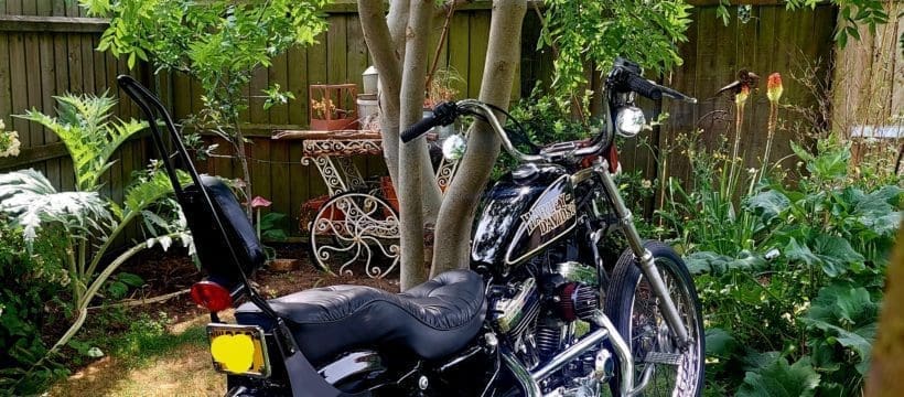 Harley Davidson Sportster | Brag Your Bike