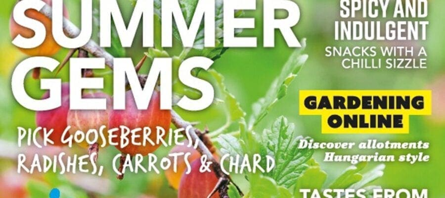 July issue of Kitchen Garden out now!