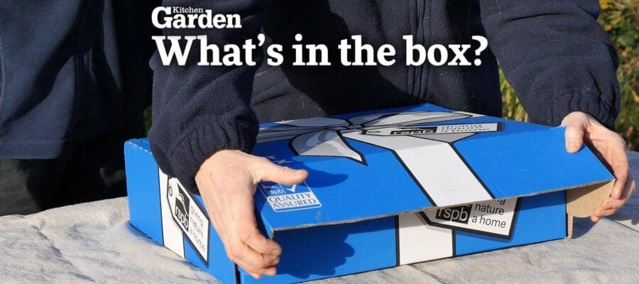 Video: What's in the Box?