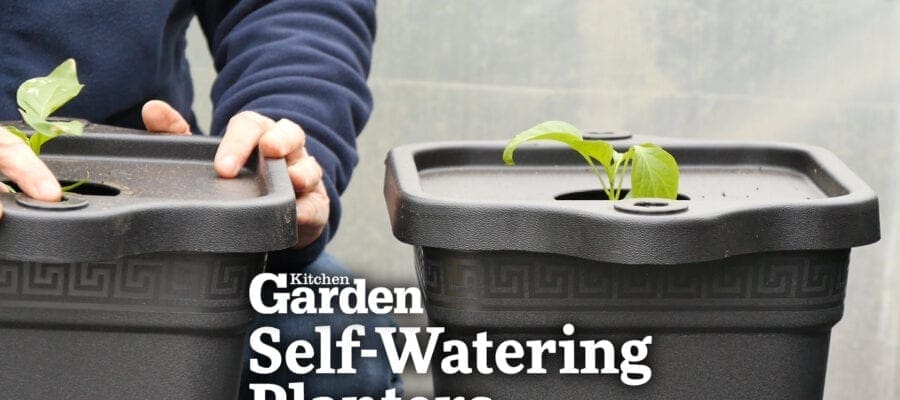 Video: Self-Watering Planters