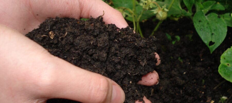 Serious concerns for UK soil