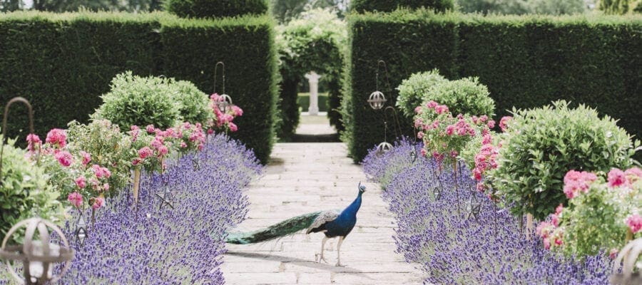 Gorgeous gardens to open for charity