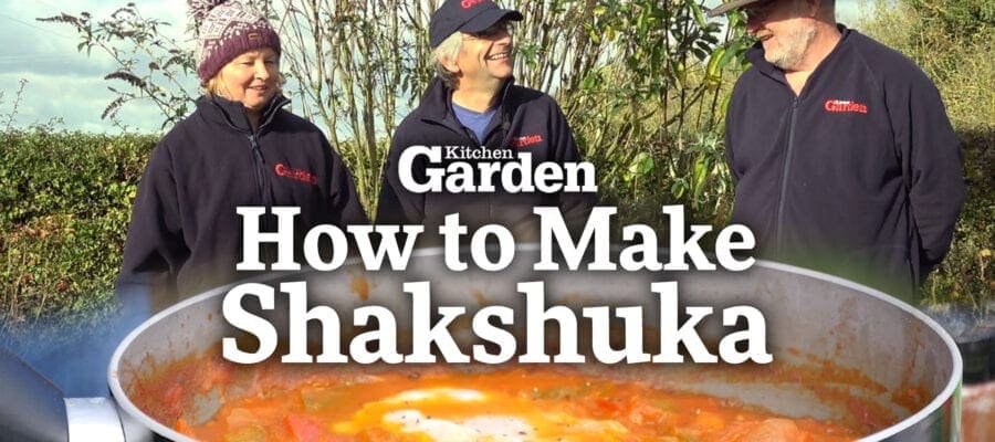 Video: How to Make Shakshuka