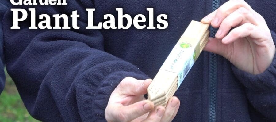 Video: Reviewing a Selection of Plant Labels