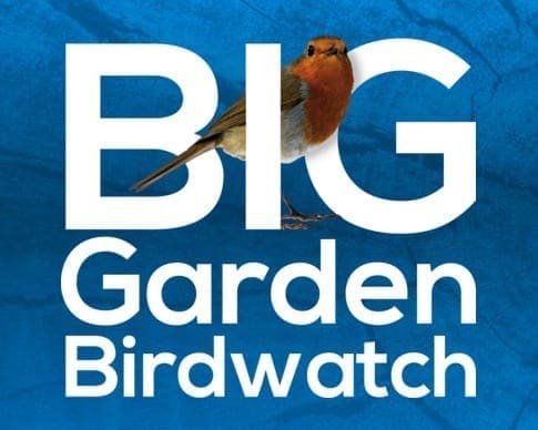Help the RSPB track our feathered friends