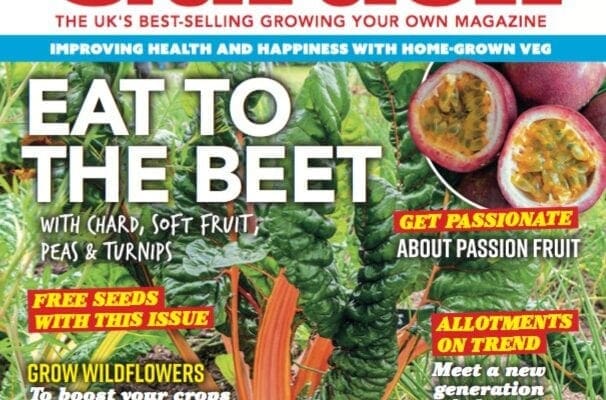 Stay safe at home with your latest Kitchen Garden magazine!