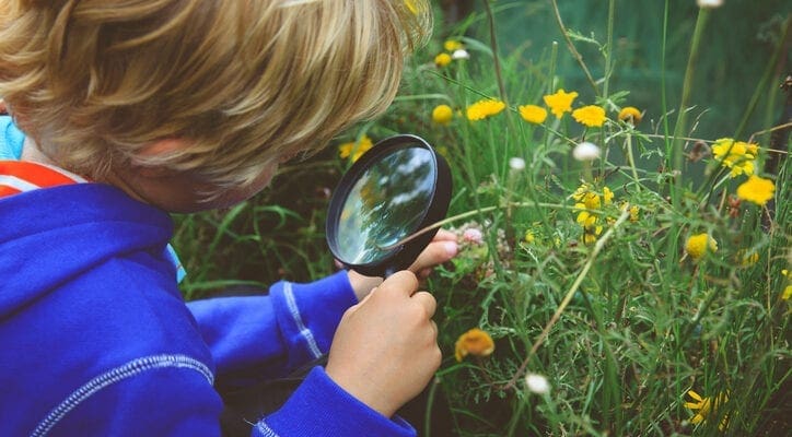 Young people's links with nature go under the microscope