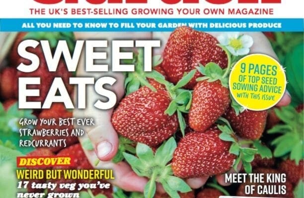April issue of Kitchen Garden out now!