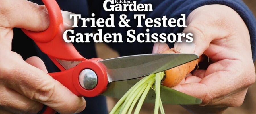 Video: Tried and Tested - Garden Scissors
