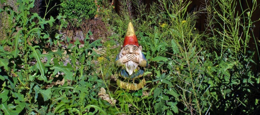 Ryobi found even gnomes were embarrased about some gadrens