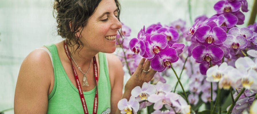 Eden braced for orchid mania