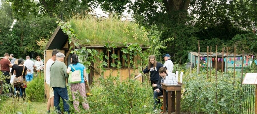 Open day for London’s oldest plots