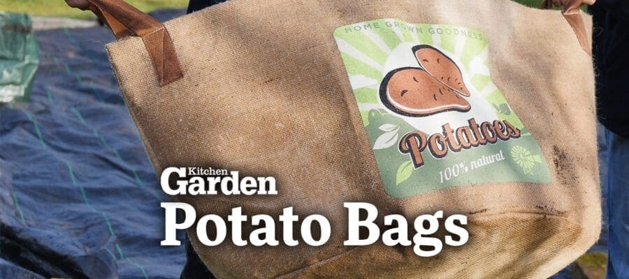 Video: A Review of Potato Bags