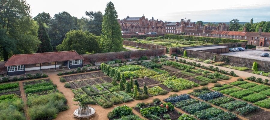 Exciting year ahead for Hampton Court Palace's royal gardens