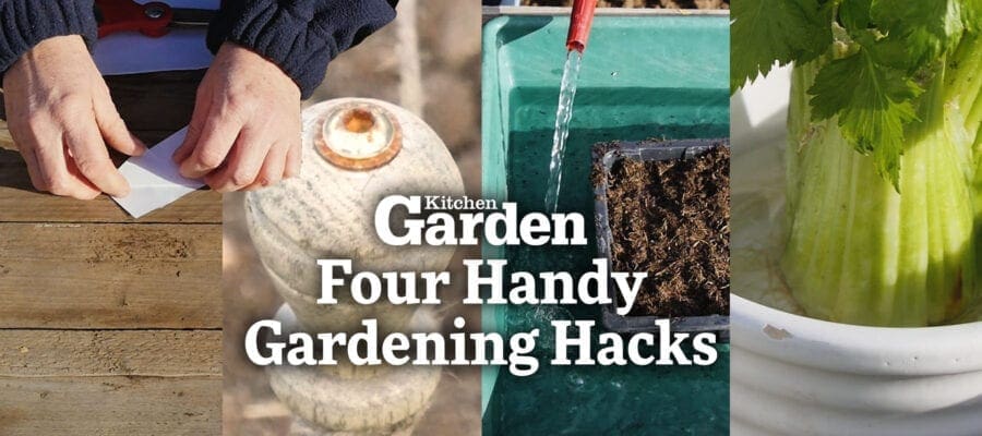 Video: Four Handy Gardening Hacks!