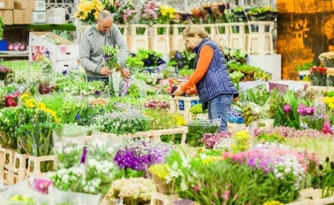 A new home and era for the UK’s biggest and only dedicated flower market