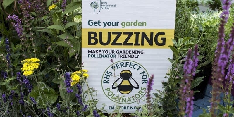 What’s ‘perfect for pollinators’ on your plot?