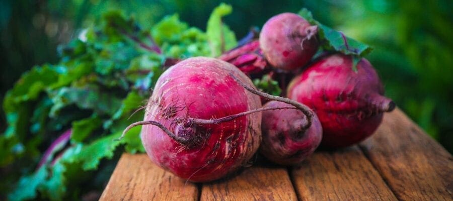 Top tips for better beetroot!