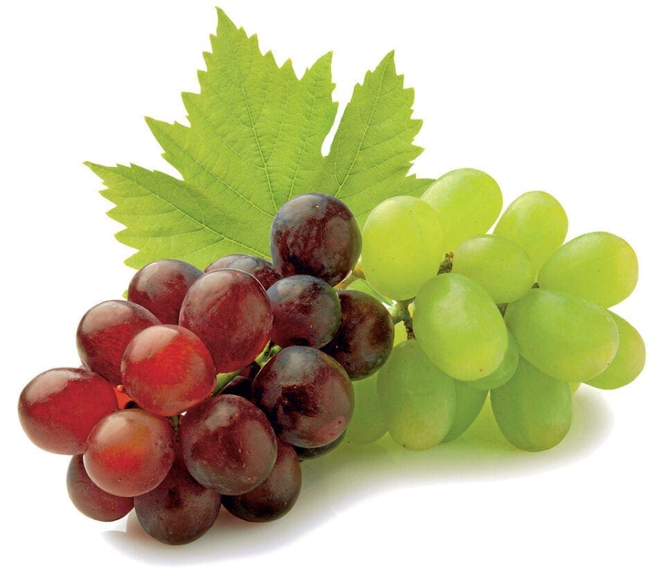 two bunches of grapes