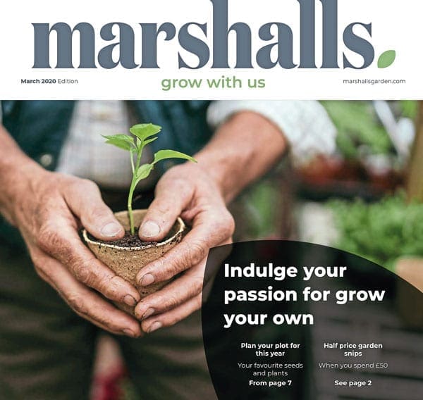 Marshalls Garden catalogue cover