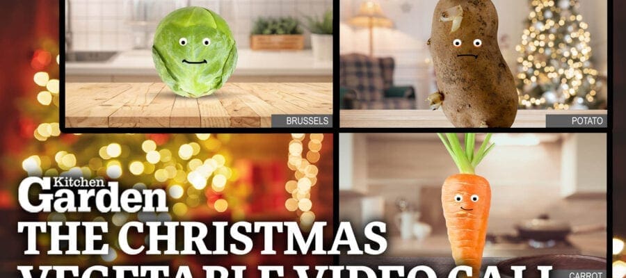 Kitchen Garden Christmas Vegetable Video Call