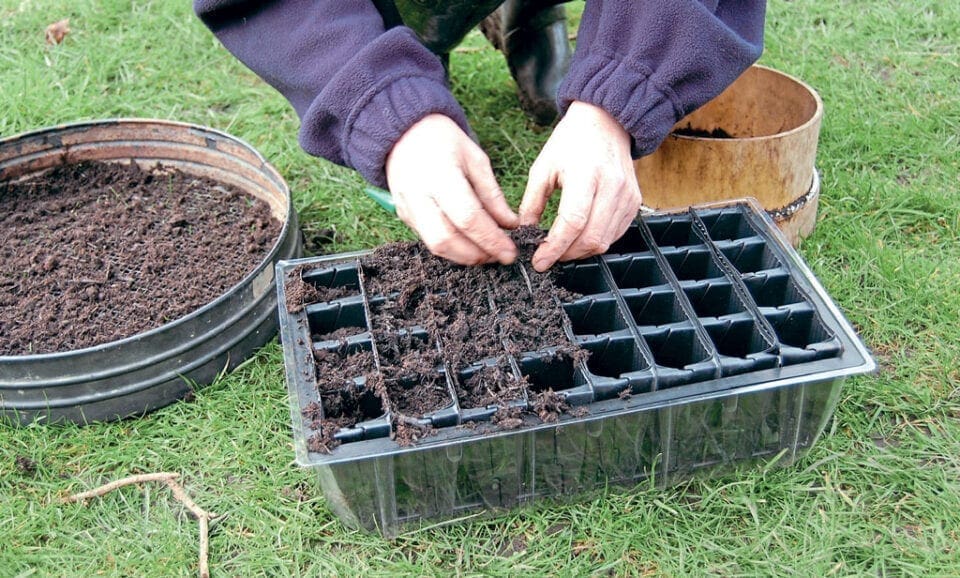 A pair of hands placing soil into the cells of a cell tray to prepare for sowing seeds.