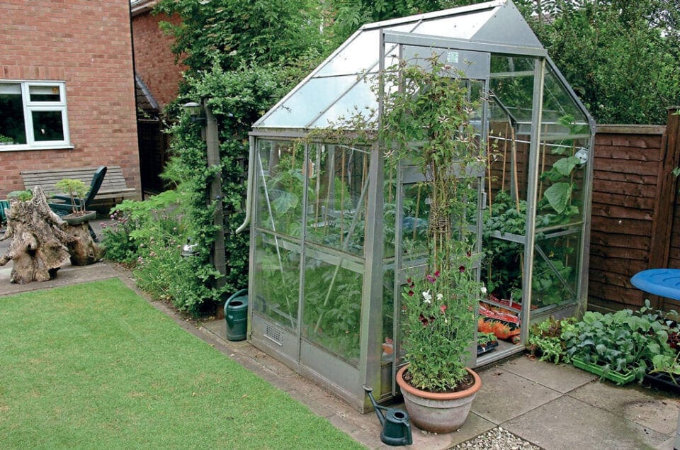 An image of a small greenhouse filled with plants in someone's back garden.