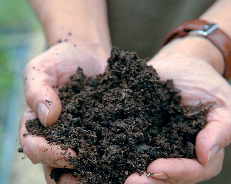 Hands holding a handful of soil close to the camera.
