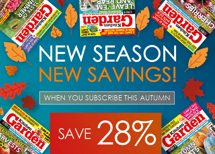 Brioche French Toast with Rhubarb Compote & Mascarpone Cream Kitchen