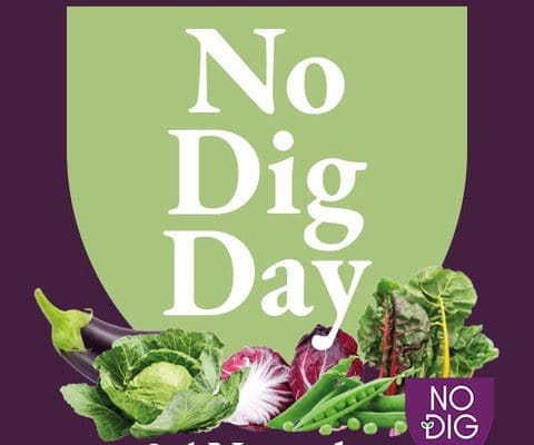 No Dig Day