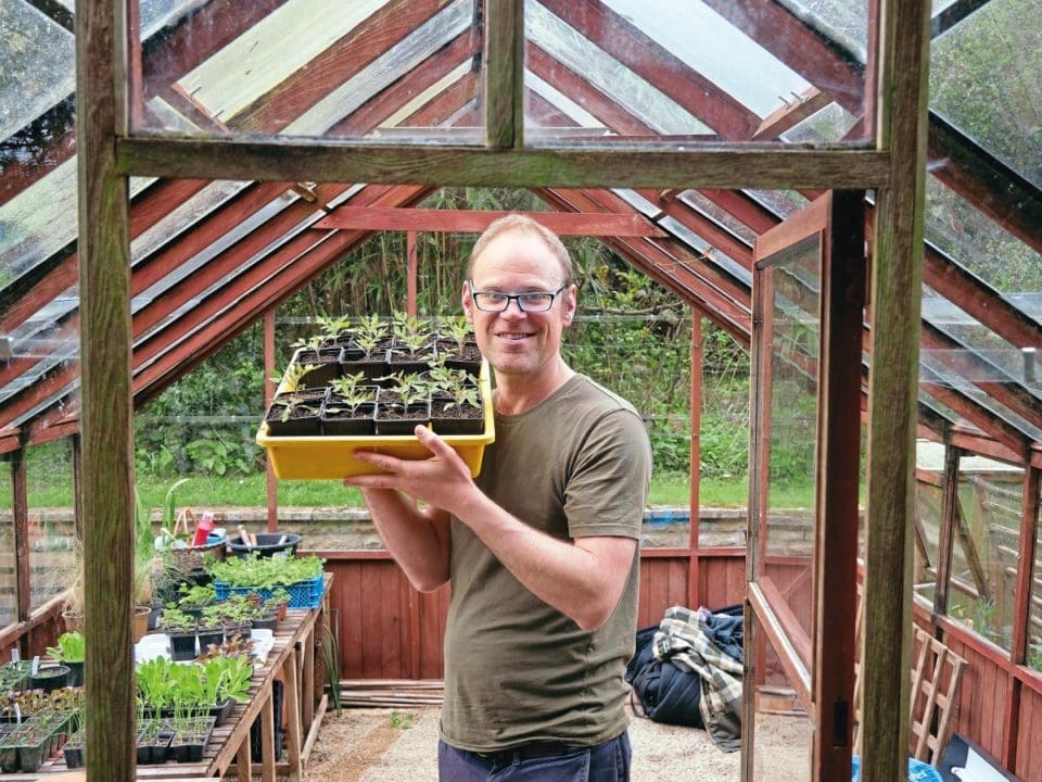 Ben stands in his greenhouse holding tomato plants.